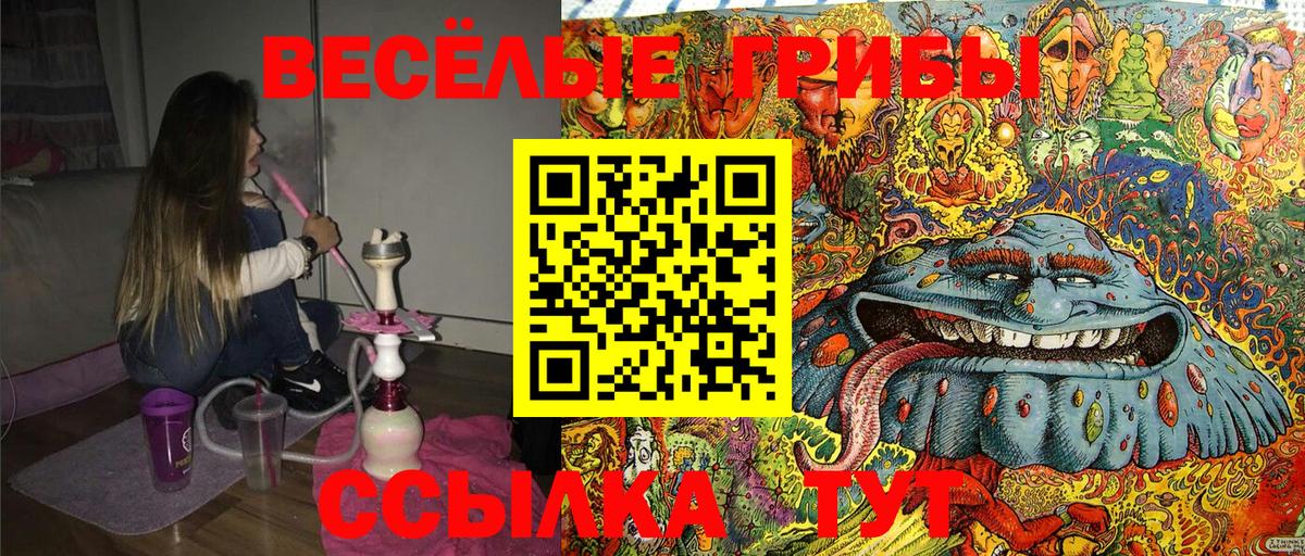 Псилоцибиновые грибы Cubensis  Галлюциногенные грибы Magic Shrooms  Вход с VPN  Лыткарино 